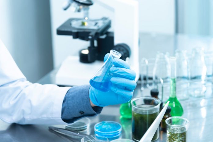 Laboratorija