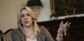Cvijanović: Turkovićeva ekstremista koji djeluje van svih procedura