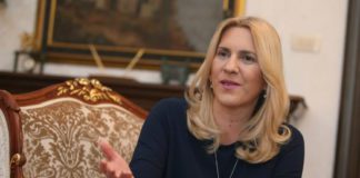 Cvijanović: Inicijativa o rezoluciji – politika bošnjačke komponente