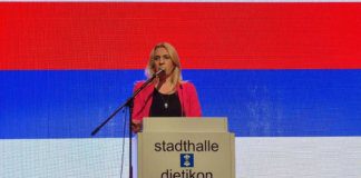 Cvijanović: Srpska dijaspora opredijeljena da čuva svoj identitet