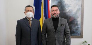 Košarac i Ping: Rješenje krize tražiti u okviru Ustava i demokratskoj atmosferi