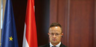 Sijarto: Sramota je Brisela što BiH nije dobila status kandidata za EU