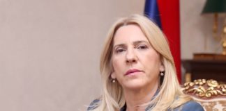 Cvijanović: PDP u fazi raspadanja, a Borenović pokušava da diskutuje o značajnim temama