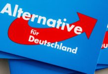 AfD predlaže radikalnu restrukturu EU